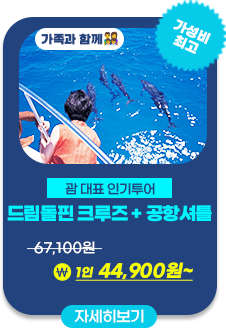 드림돌핀 크루즈+공항셔틀